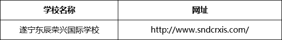 遂寧市遂寧東辰榮興國際學(xué)校網(wǎng)址是什么？