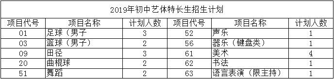 華陽中學(xué)2019年特長生計(jì)劃